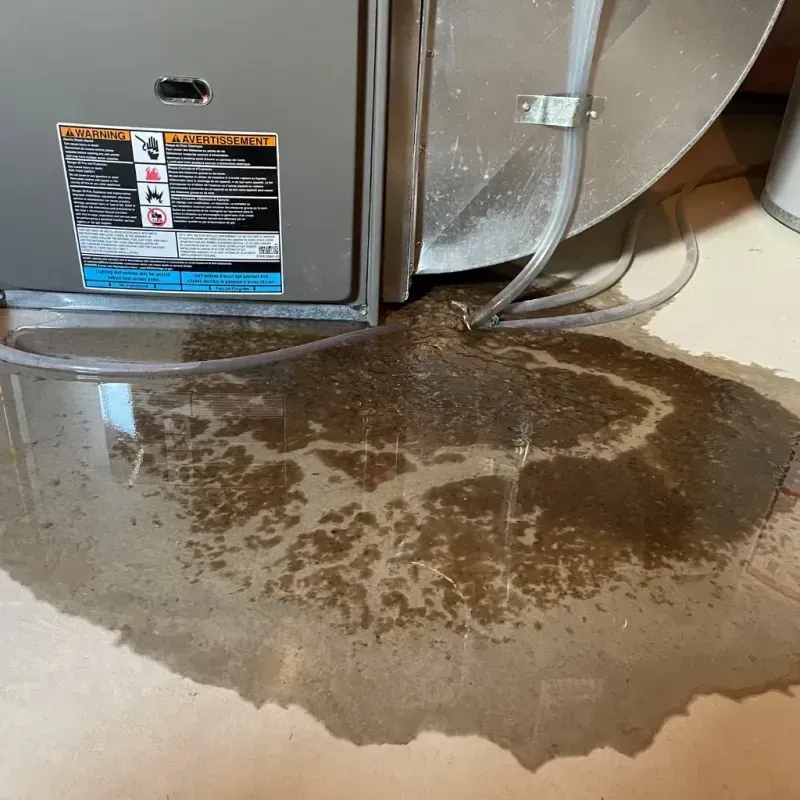 Appliance Leak Cleanup in Ukiah, CA